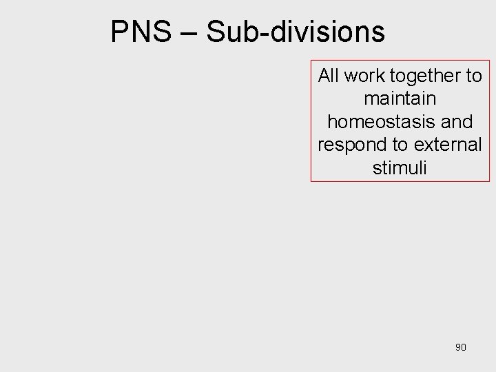 PNS – Sub-divisions All work together to maintain homeostasis and respond to external stimuli