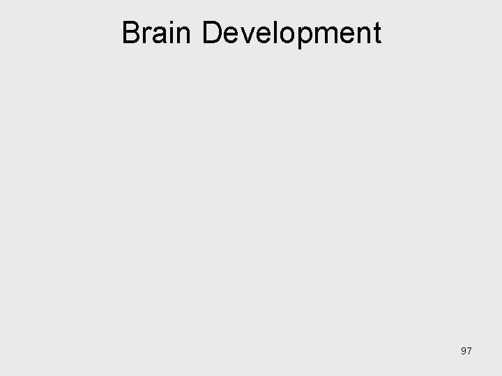 Brain Development 97 