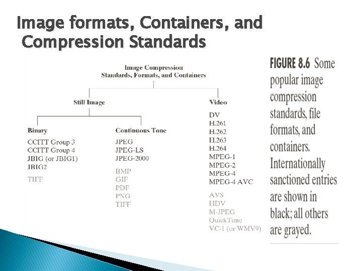 Image formats, Containers, and Compression Standards 