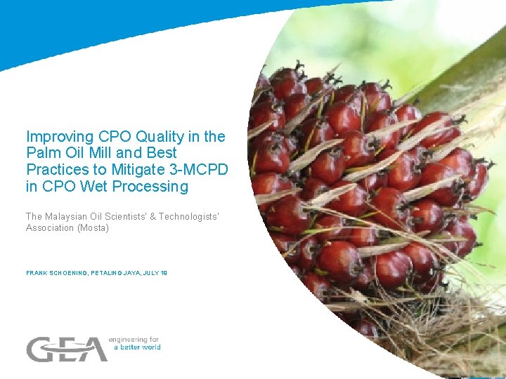 Improving CPO Quality in the Palm Oil Mill and Best Practices to Mitigate 3