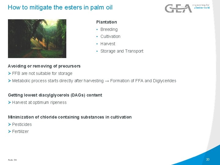 How to mitigate the esters in palm oil Plantation • Breeding • Cultivation •