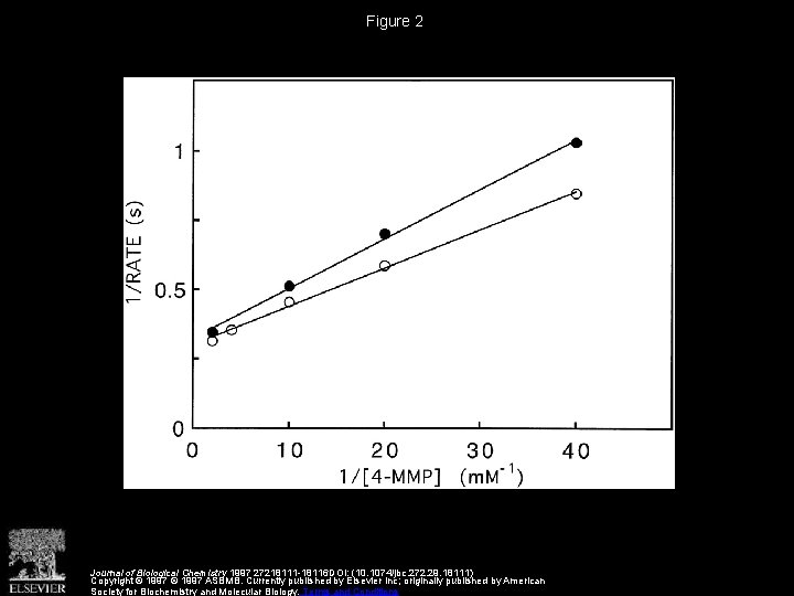 Figure 2 Journal of Biological Chemistry 1997 27218111 -18116 DOI: (10. 1074/jbc. 272. 29.