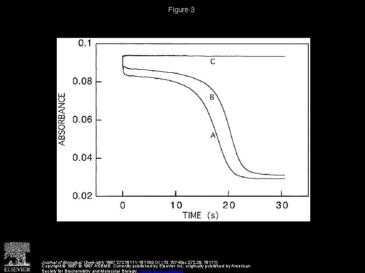 Figure 3 Journal of Biological Chemistry 1997 27218111 -18116 DOI: (10. 1074/jbc. 272. 29.
