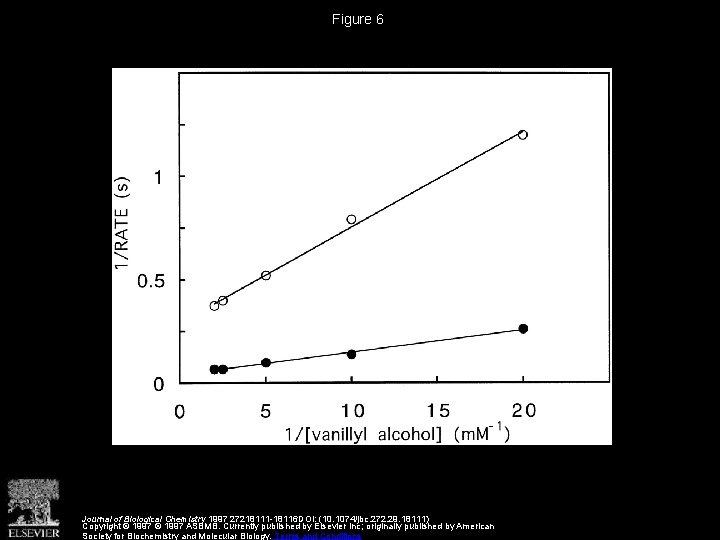 Figure 6 Journal of Biological Chemistry 1997 27218111 -18116 DOI: (10. 1074/jbc. 272. 29.
