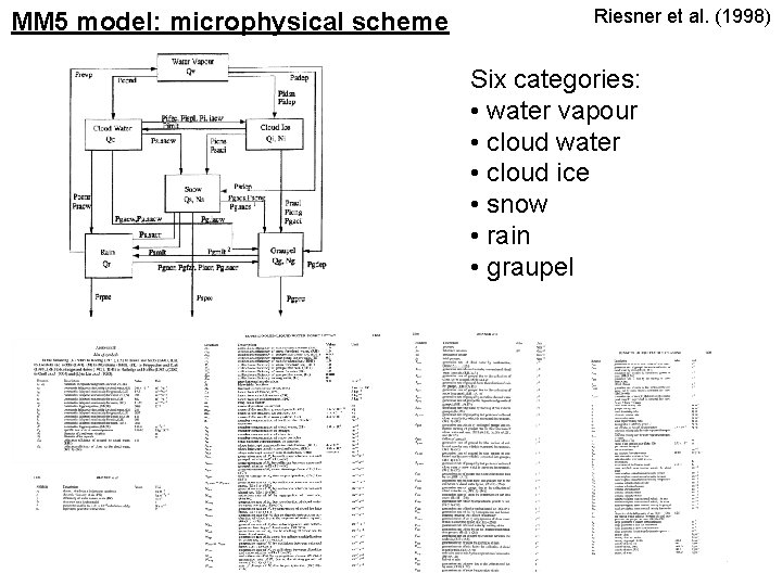 MM 5 model: microphysical scheme Riesner et al. (1998) Six categories: • water vapour