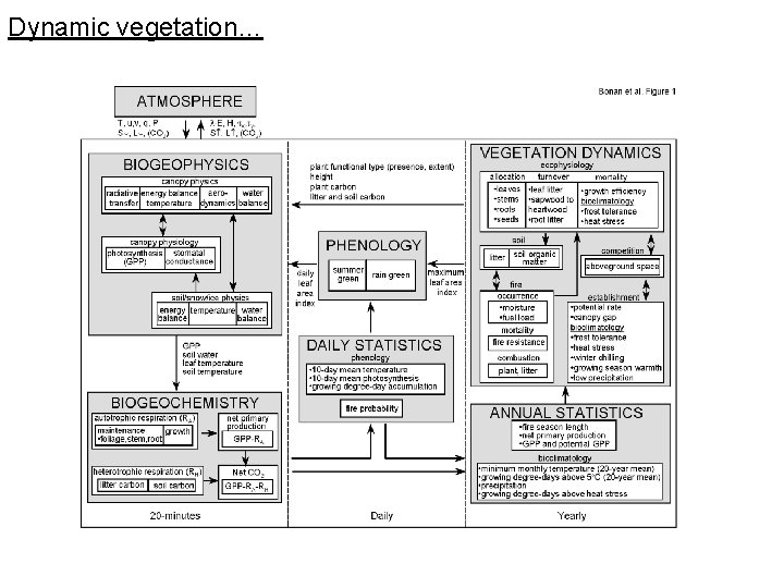 Dynamic vegetation… 