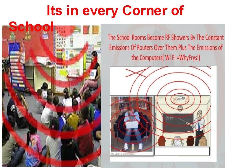 Its in every Corner of School 