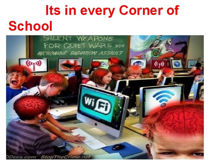 Its in every Corner of School 