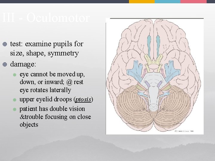 III - Oculomotor ¥ ¥ test: examine pupils for size, shape, symmetry damage: ¥