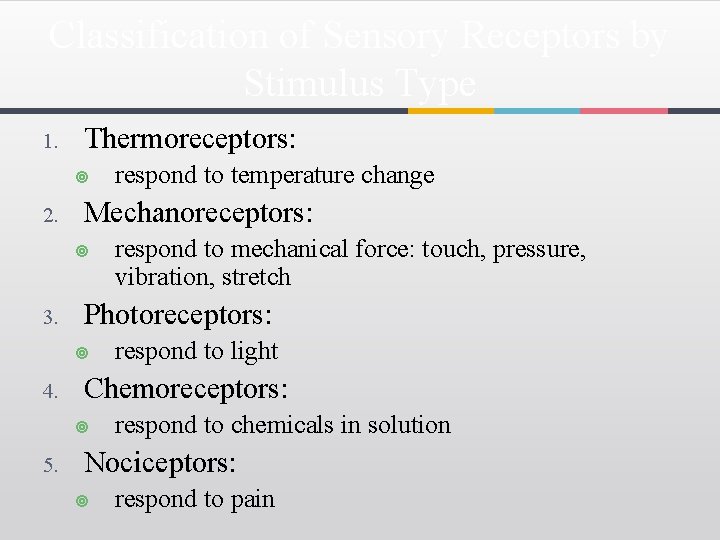 Classification of Sensory Receptors by Stimulus Type 1. Thermoreceptors: ¥ 2. Mechanoreceptors: ¥ 3.