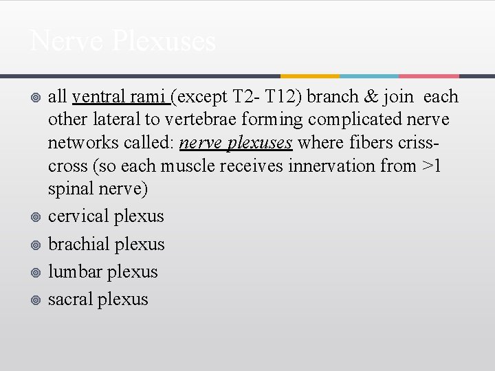 Nerve Plexuses ¥ ¥ ¥ all ventral rami (except T 2 - T 12)