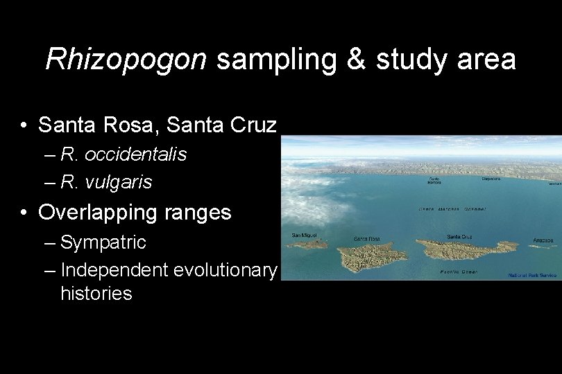 Rhizopogon sampling & study area • Santa Rosa, Santa Cruz – R. occidentalis –