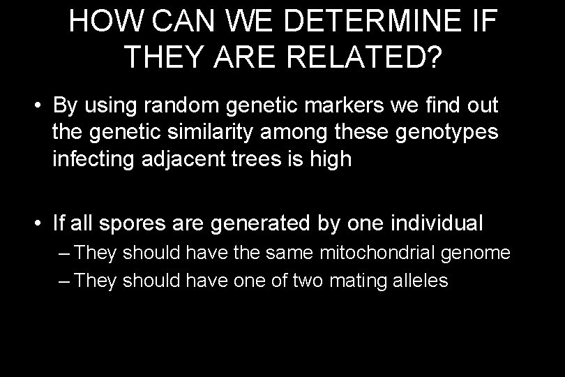 HOW CAN WE DETERMINE IF THEY ARE RELATED? • By using random genetic markers