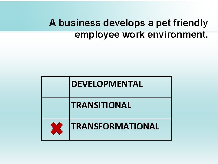A business develops a pet friendly employee work environment. DEVELOPMENTAL TRANSITIONAL TRANSFORMATIONAL 
