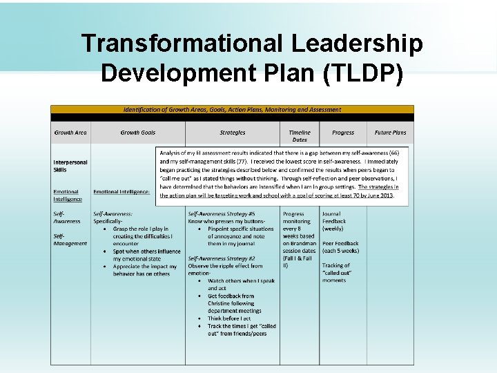 Transformational Leadership Development Plan (TLDP) 