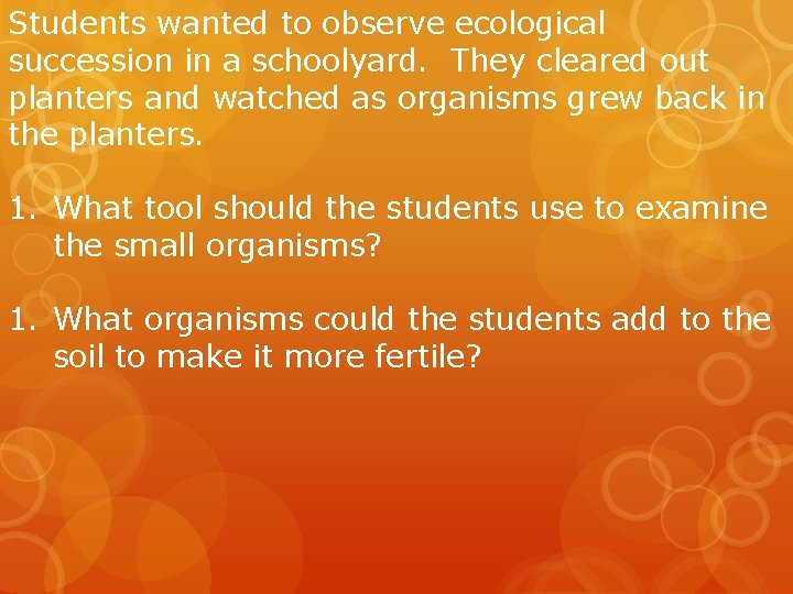 Students wanted to observe ecological succession in a schoolyard. They cleared out planters and Students wanted to observe ecological succession in a schoolyard. They cleared out planters and