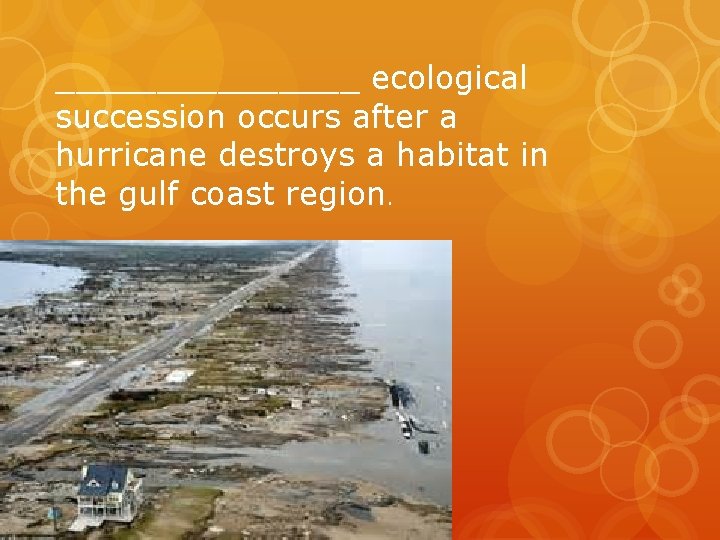 ________ ecological succession occurs after a hurricane destroys a habitat in the gulf coast ________ ecological succession occurs after a hurricane destroys a habitat in the gulf coast