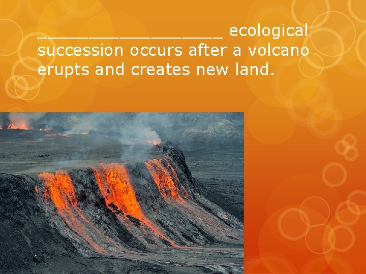 _________ ecological succession occurs after a volcano erupts and creates new land. _________ ecological succession occurs after a volcano erupts and creates new land.