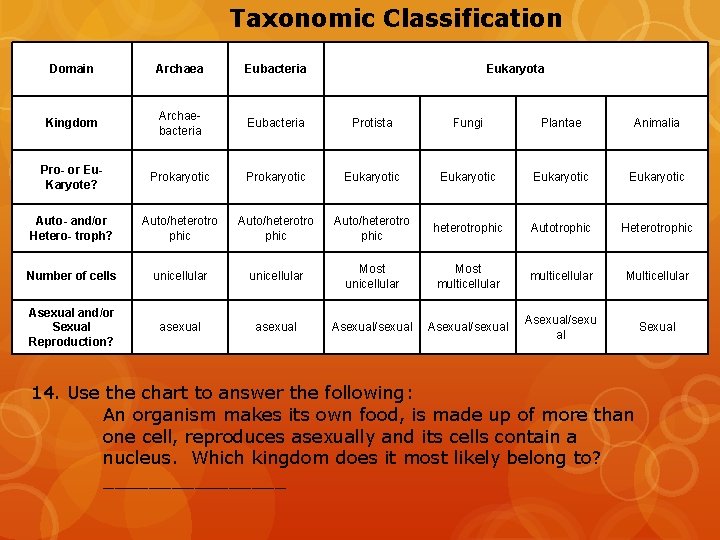 Taxonomic Classification Domain Archaea Eubacteria Eukaryota Kingdom Archaebacteria Eubacteria Protista Fungi Plantae Animalia Pro- Taxonomic Classification Domain Archaea Eubacteria Eukaryota Kingdom Archaebacteria Eubacteria Protista Fungi Plantae Animalia Pro-