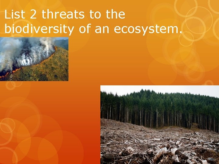 List 2 threats to the biodiversity of an ecosystem. List 2 threats to the biodiversity of an ecosystem.