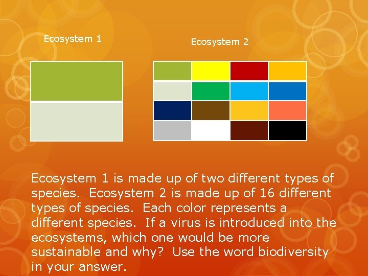 Ecosystem 1 Ecosystem 2 Ecosystem 1 is made up of two different types of Ecosystem 1 Ecosystem 2 Ecosystem 1 is made up of two different types of