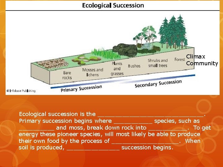 Climax Community Ecological succession is the _______________. Primary succession begins where ______ species, such Climax Community Ecological succession is the _______________. Primary succession begins where ______ species, such