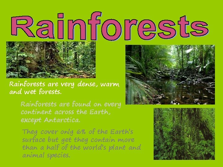 Rainforests are very dense, warm and wet forests. Rainforests are found on every continent