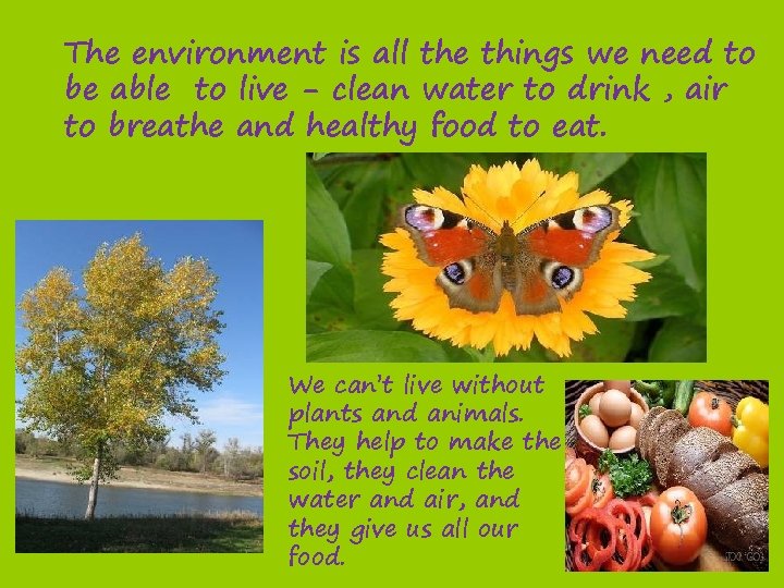 The environment is all the things we need to be able to live -
