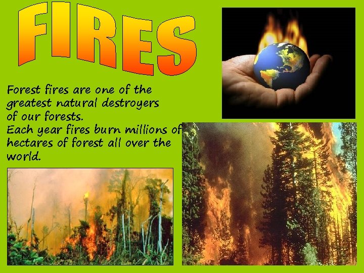 Forest fires are one of the greatest natural destroyers of our forests. Each year