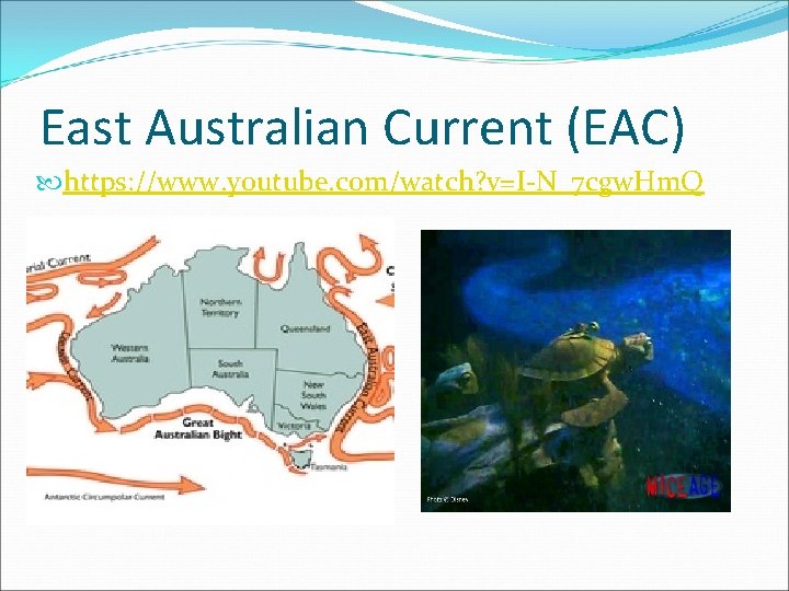 East Australian Current (EAC) https: //www. youtube. com/watch? v=I-N_7 cgw. Hm. Q 