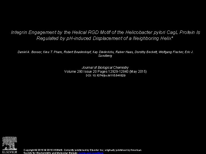 Integrin Engagement by the Helical RGD Motif of the Helicobacter pylori Cag. L Protein