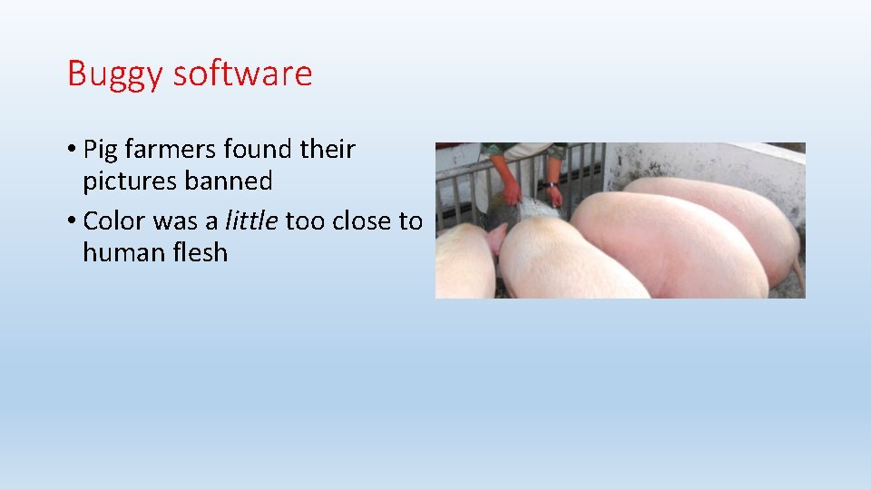 Buggy software • Pig farmers found their pictures banned • Color was a little