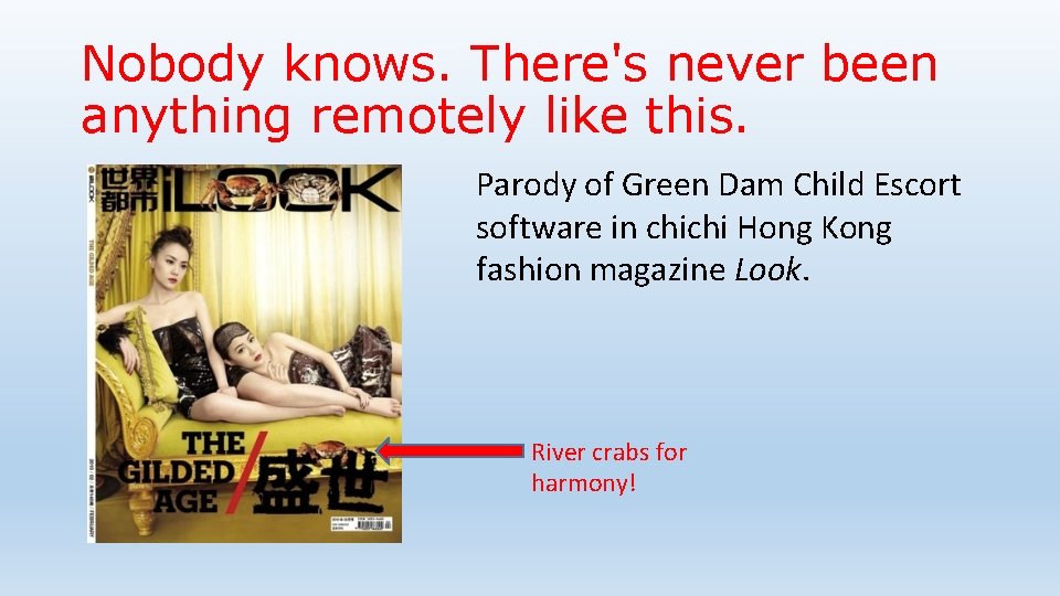 Nobody knows. There's never been anything remotely like this. Parody of Green Dam Child