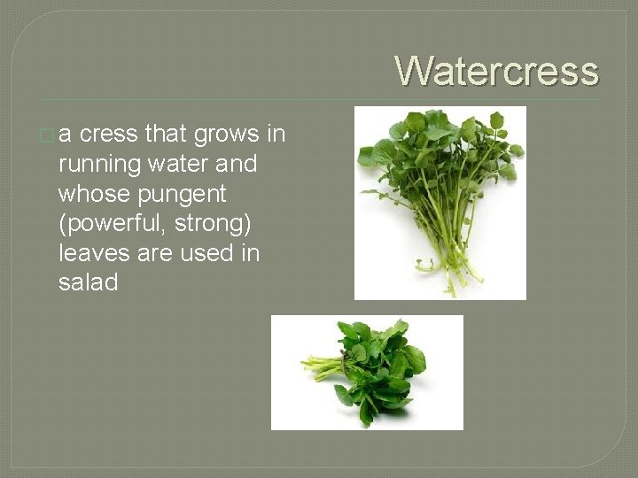 Watercress �a cress that grows in running water and whose pungent (powerful, strong) leaves