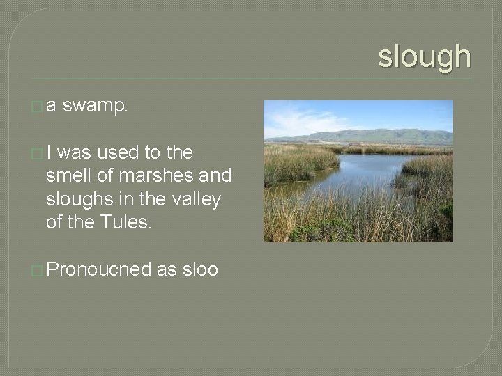 slough �a swamp. �I was used to the smell of marshes and sloughs in