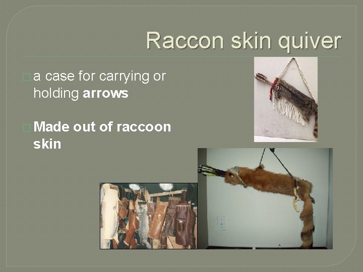 Raccon skin quiver �a case for carrying or holding arrows � Made skin out