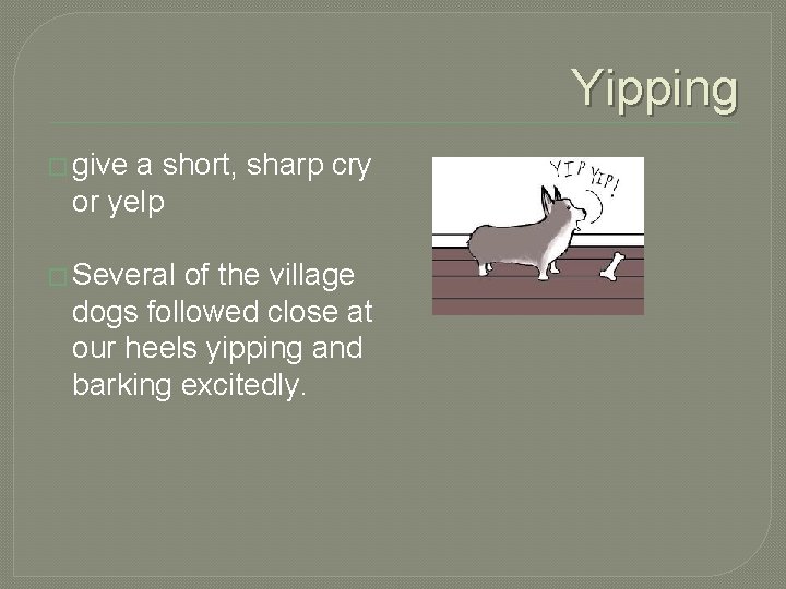 Yipping � give a short, sharp cry or yelp � Several of the village