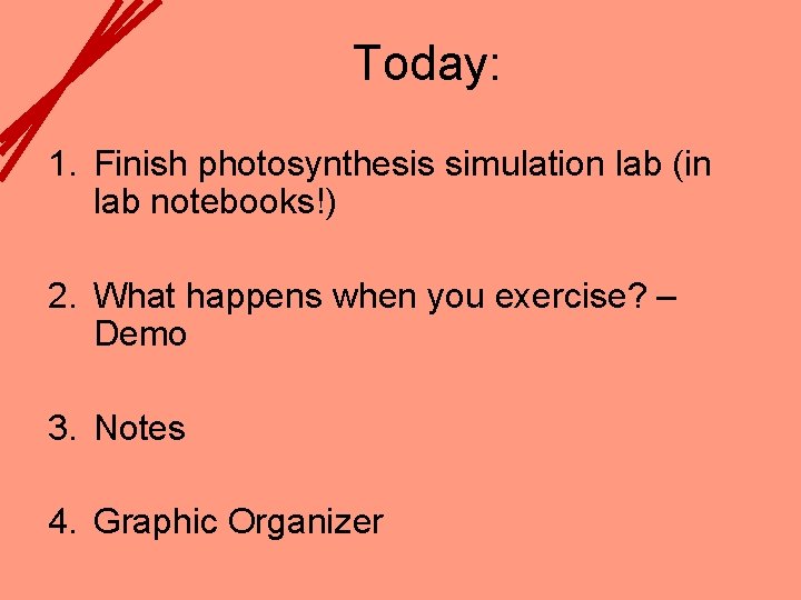 Today: 1. Finish photosynthesis simulation lab (in lab notebooks!) 2. What happens when you