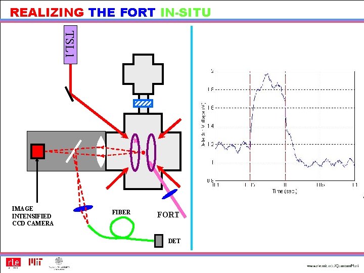 REALIZING THE FORT IN-SITU TSL 1 IMAGE INTENSIFIED CCD CAMERA FIBER FORT DET 
