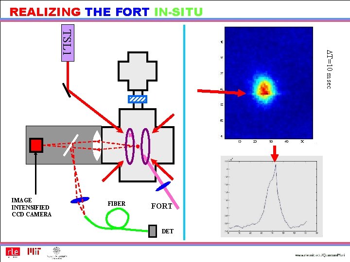 REALIZING THE FORT IN-SITU DT=10 msec TSL 1 IMAGE INTENSIFIED CCD CAMERA FIBER FORT