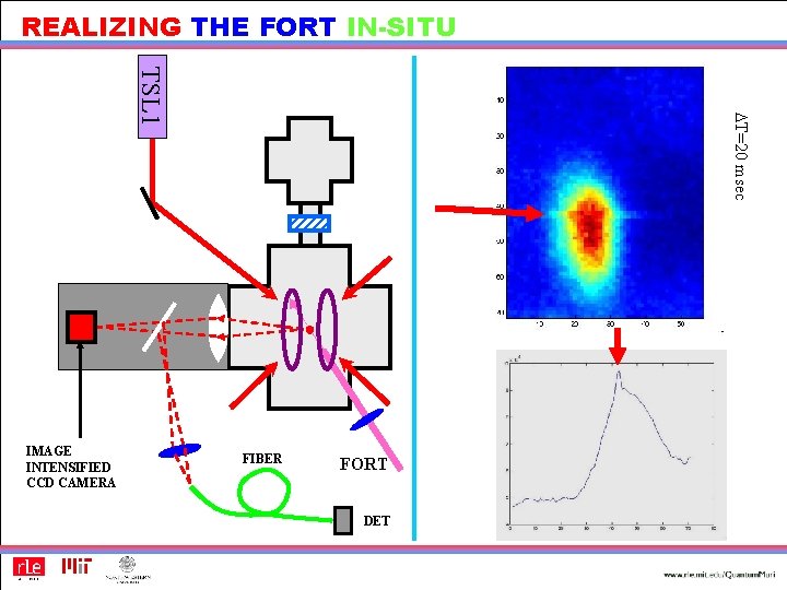 REALIZING THE FORT IN-SITU DT=20 msec TSL 1 IMAGE INTENSIFIED CCD CAMERA FIBER FORT