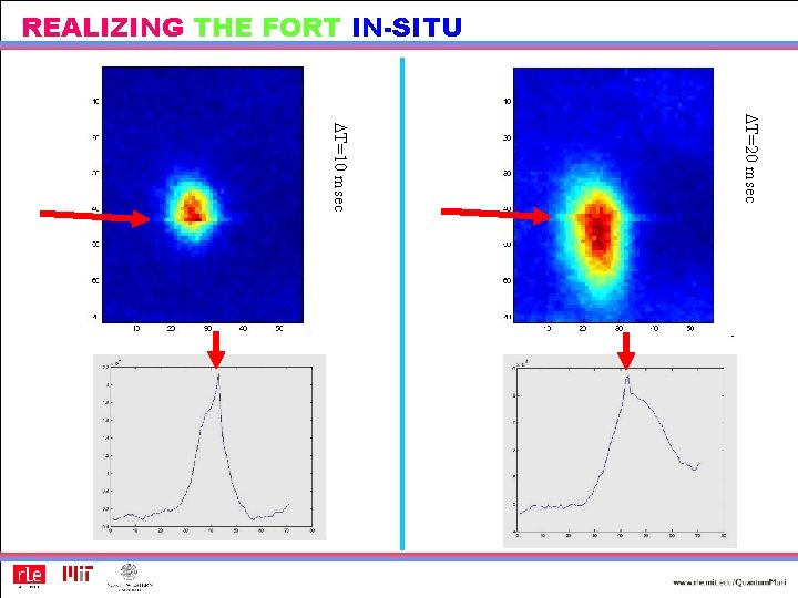 REALIZING THE FORT IN-SITU DT=20 msec DT=10 msec 