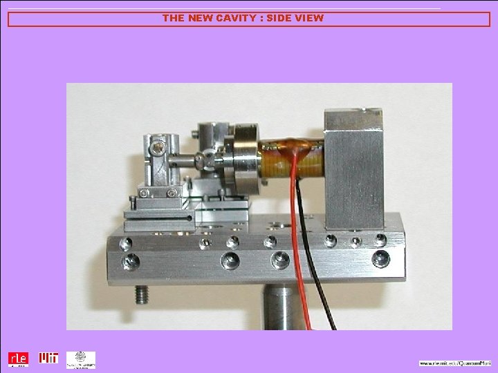 THE NEW CAVITY : SIDE VIEW 