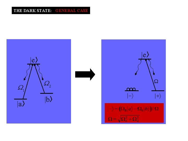 THE DARK STATE: : GENERAL CASE |e |e W 1 |a W 2 |b