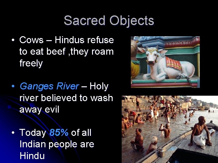Sacred Objects • Cows – Hindus refuse to eat beef , they roam freely