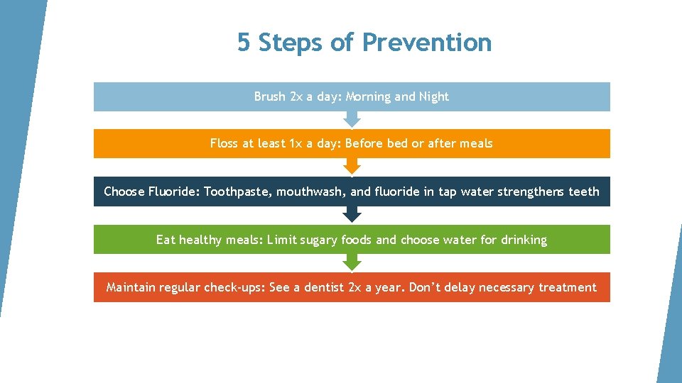 5 Steps of Prevention Brush 2 x a day: Morning and Night Floss at