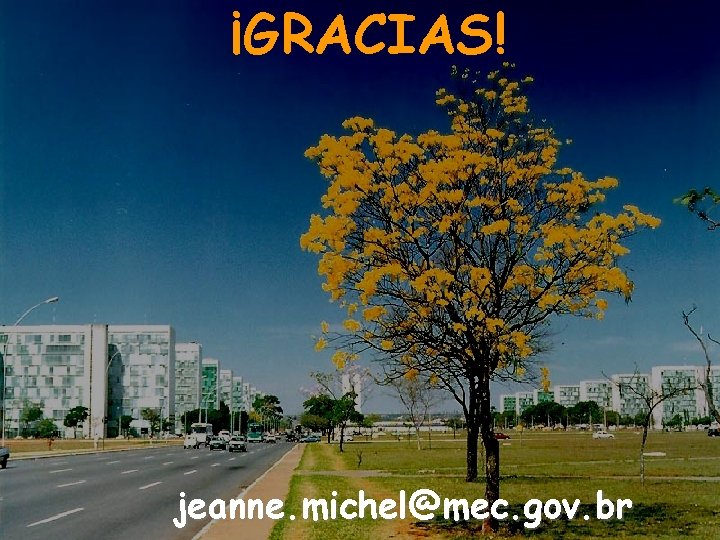 ¡GRACIAS! jeanne. michel@mec. gov. br Ministério da Educação 