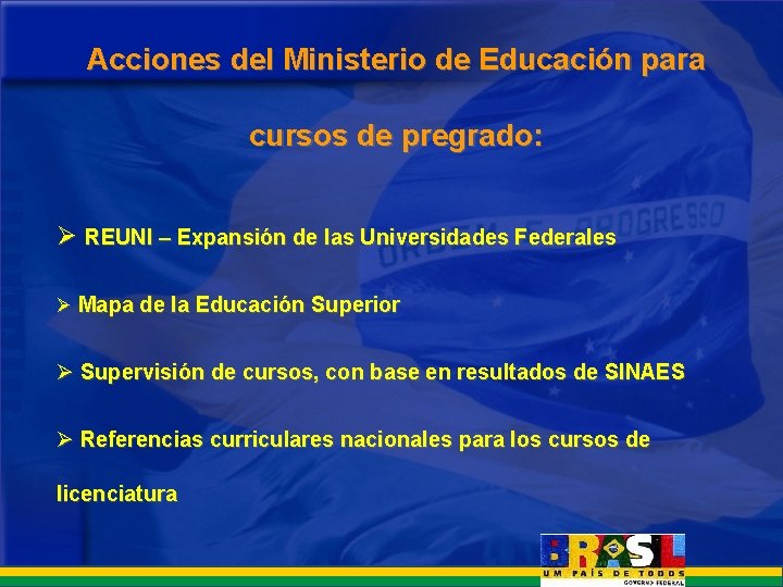 Acciones del Ministerio de Educación para cursos de pregrado: Ø REUNI – Expansión de