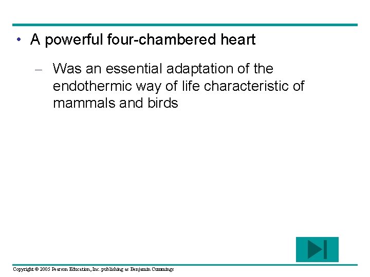  • A powerful four-chambered heart – Was an essential adaptation of the endothermic