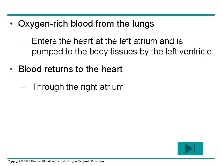  • Oxygen-rich blood from the lungs – Enters the heart at the left